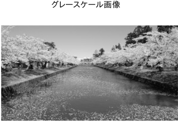 グレースケール画像